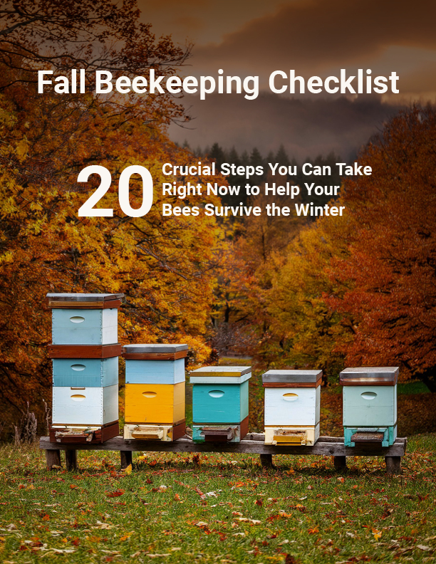 Beekeeping Fall Checklist