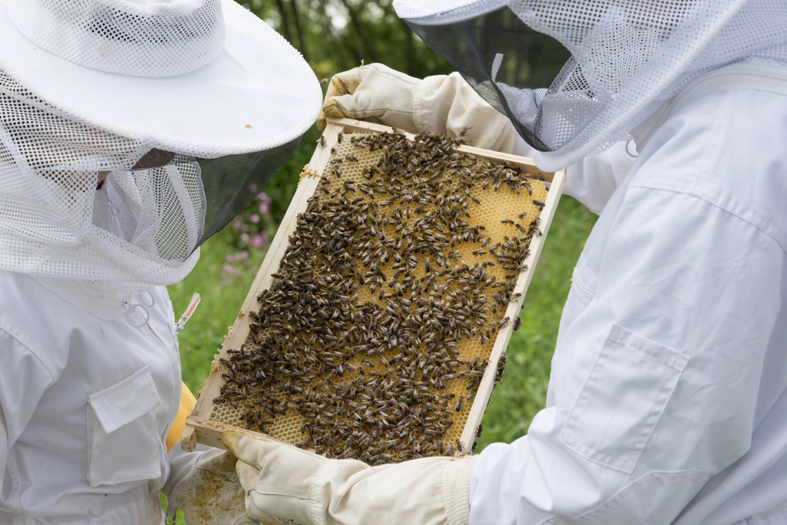 Inspecting Hive